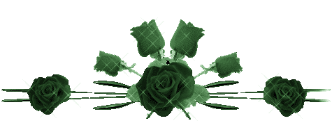 3060979353_1_5_0vN1aWl2.gif