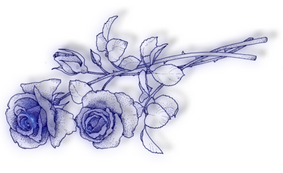 f7d70e41-1.png